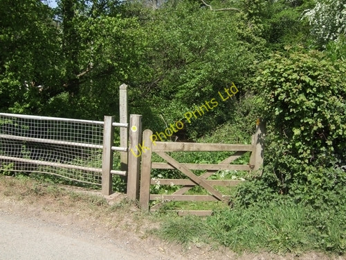 Photo 6"x4" Footpath to Morville Morville Heath c2007