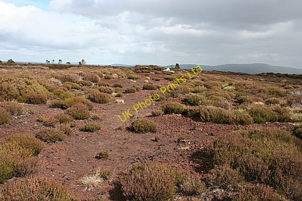 Photo 6"x4" Moss of Stonyhill Brylach Hill c2007 P1
