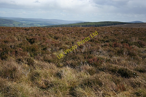Photo 6"x4" Moss of Stonyhill Moss of Rothes c2007