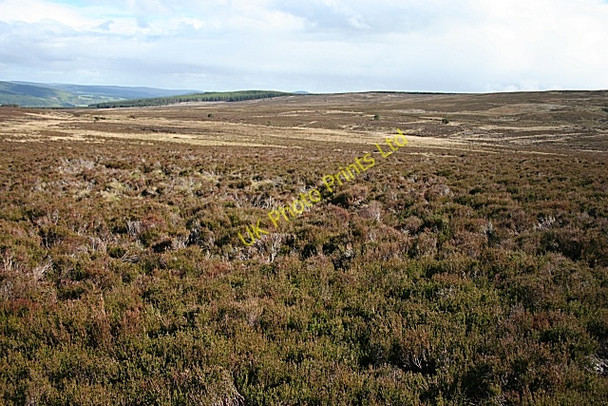 Photo 6"x4" Moss of Stonyhill Moss of Rothes c2007 P1