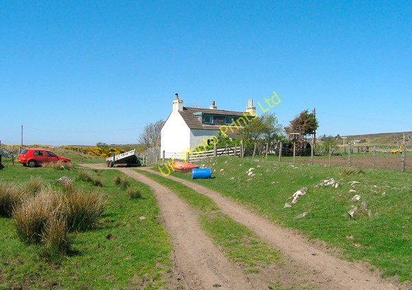 Photo 6"x4" Red Point Farm Redpoint c2007