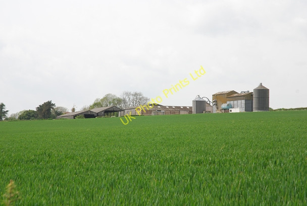 Photo 6"x4" Canada Farm Winterborne Stickland c2007
