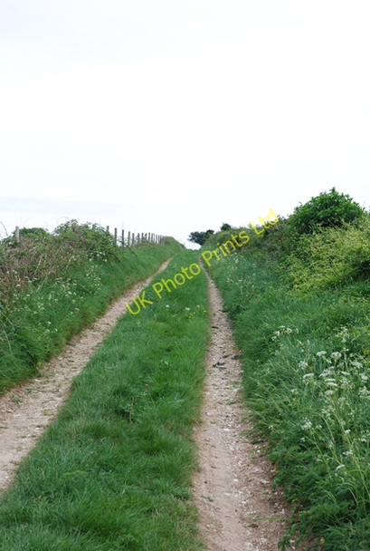 Photo 6"x4" Track to Field Barn Winterborne Clenston c2007