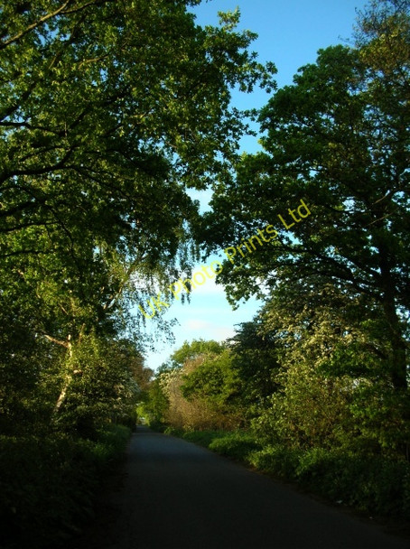 Photo 6"x4" Common Lane Hall Garth\/SE6751 c2007