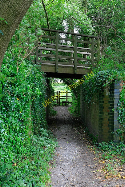 Photo 6"x4" Footpath passing under the Meon Valley Trail as it approaches Fry's Lane, Meonstoke Meonstoke c2007