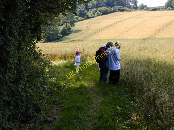 Photo 6"x4" Footpath near Up Marden Up Marden c2002