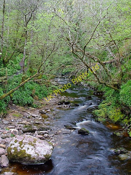 Photo 6"x4" The Golspie Burn Backies\/NC8302 c2007