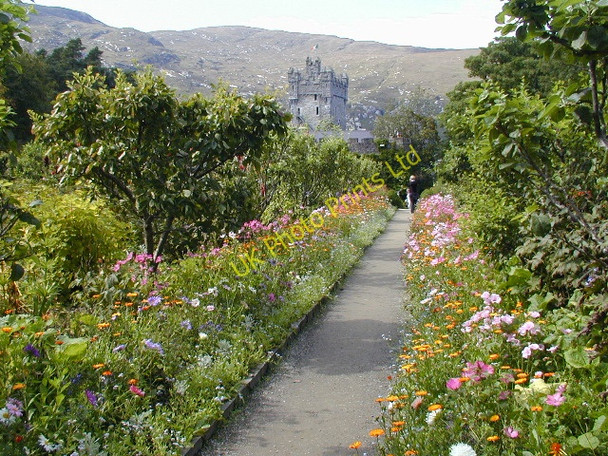 Photo 6"x4" Glenveagh Castle gardens Church Hill\/C0615 c2003 P1