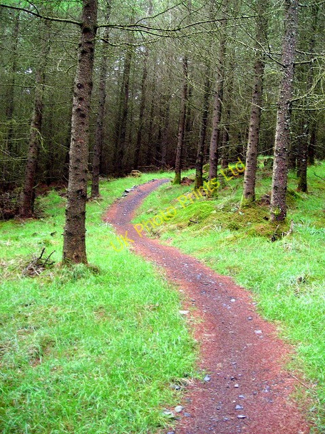 Photo 6"x4" Cycle Trail at Kirroughtree Stronord c2007