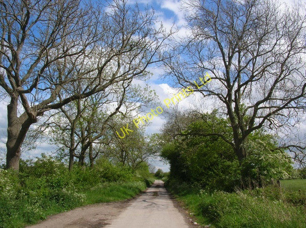 Photo 6"x4" Lane to Poppleton Hessay c2007