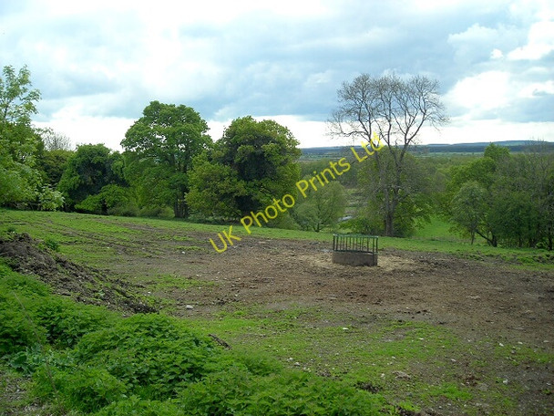 Photo 6"x4" Field Near Muirfad Stronord c2007