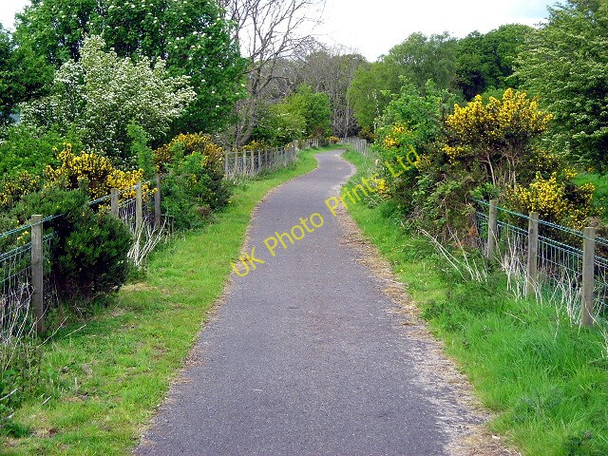 Photo 6"x4" National Cycle Route 7 Near Blairs Creetown c2007