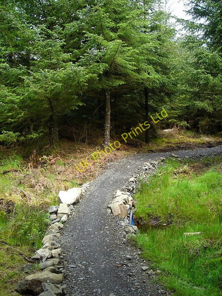 Photo 6"x4" Cycle Trail in Kirroughtree Forest Stronord c2007