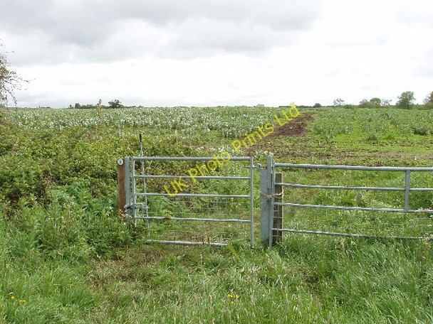 Photo 6"x4" Bridleway gate to bean field Rowsham c2007