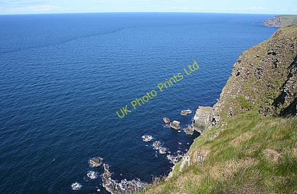 Photo 6"x4" More Head Crovie c2007