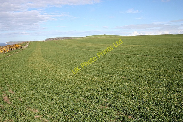 Photo 6"x4" Mains of Melrose Longmanhill c2007