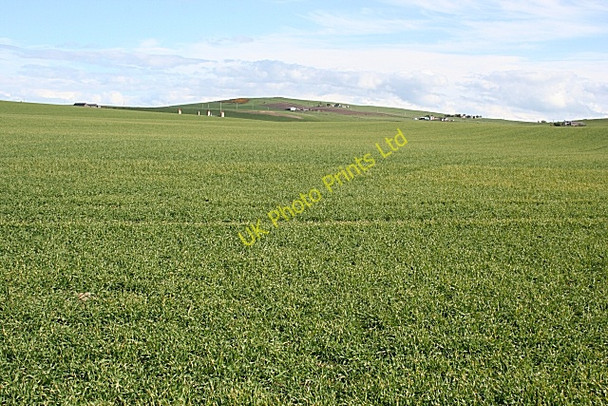 Photo 6"x4" Mains of Melrose Longmanhill c2007 P1