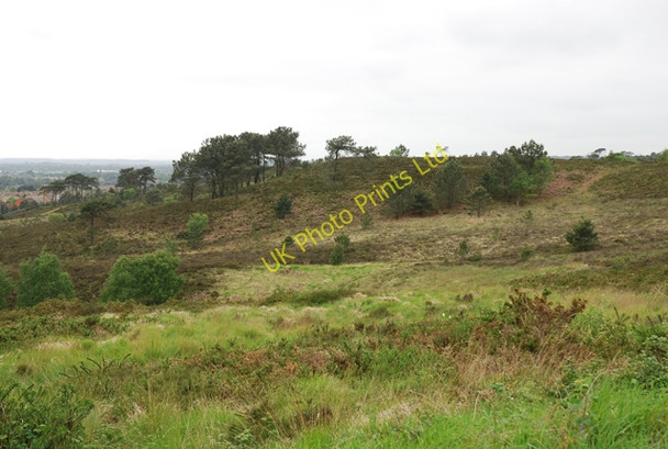 Photo 6"x4" Canford Heath Alderney c2007