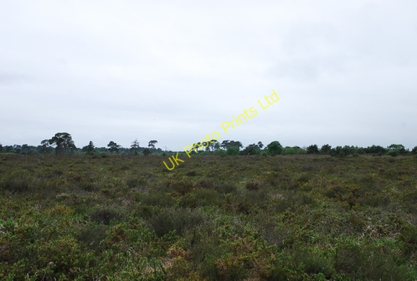 Photo 6"x4" Canford Heath south of land fill site Canford Heath\/SZ0294 c2007