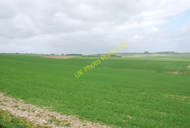 Photo 6"x4" Houghton North Down Winterborne Houghton c2007