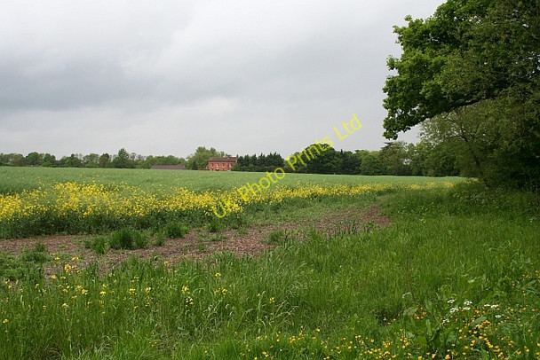 Photo 6"x4" Rape Field and Berry Lodge Farm House Marl Bank c2007