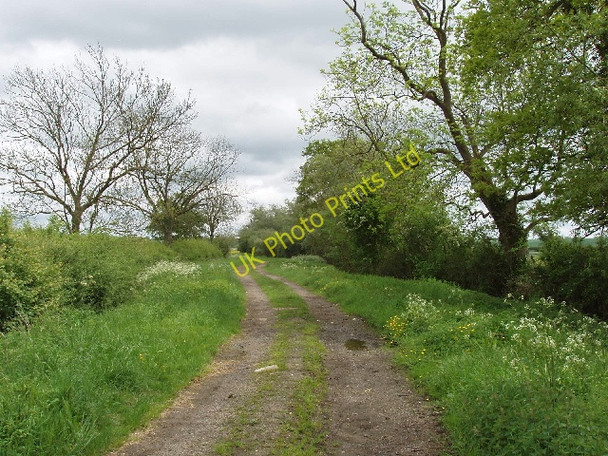 Photo 6"x4" Bridleway with grass verges, near Swanbourne Nearton End c2007