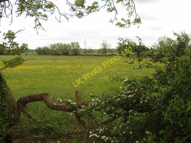Photo 6"x4" Pasture with buttercups, near Swanbourne Nearton End c2007