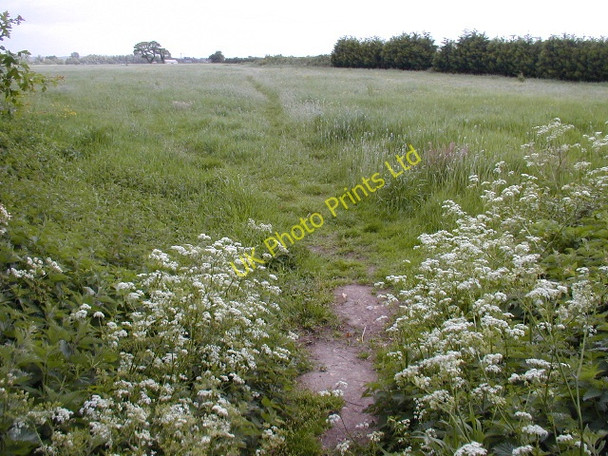 Photo 6"x4" Footpath near Saxby, Yapton Yapton c2007