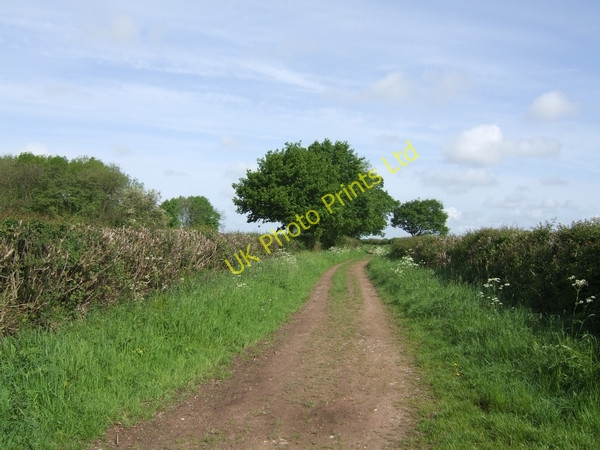 Photo 6"x4" Bridleway from Lapley Wheaton Aston c2007
