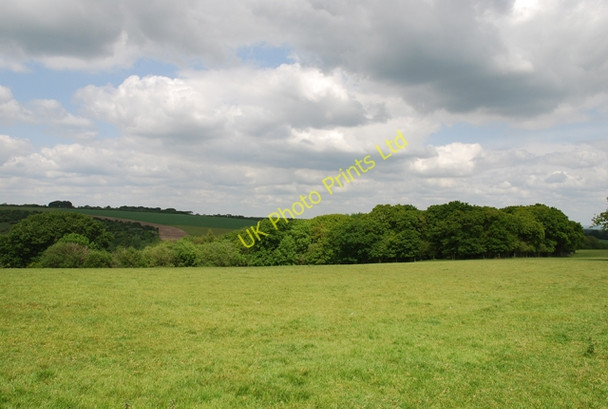 Photo 6"x4" Park Wood Ibberton c2007