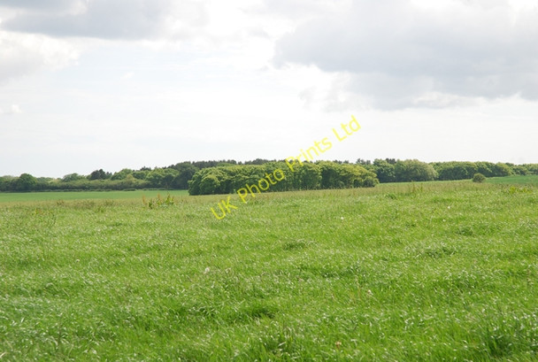 Photo 6"x4" View south across western part of South Down Ibberton c2007