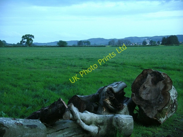 Photo 6"x4" Annandale pastureland Lockerbie c2007