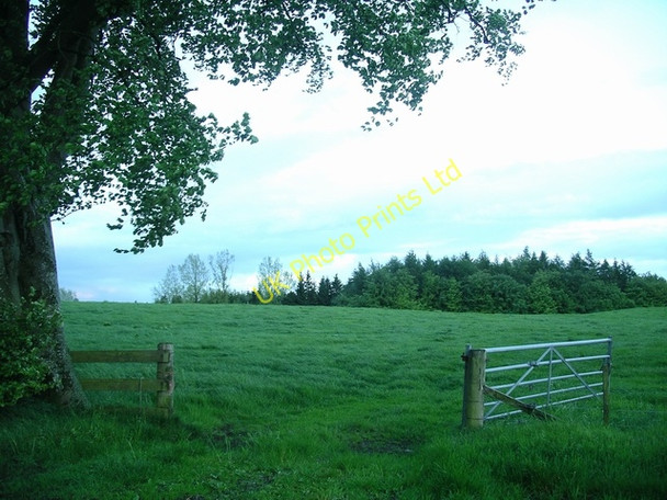 Photo 6"x4" Little wood Millhousebridge c2007