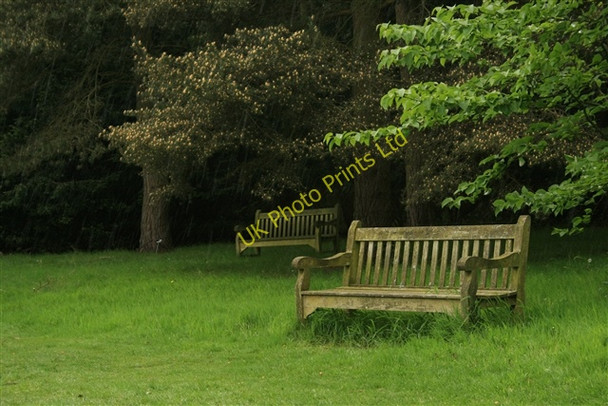 Photo 6"x4" Benches, RHS Harlow Carr Harlow Carr c2007