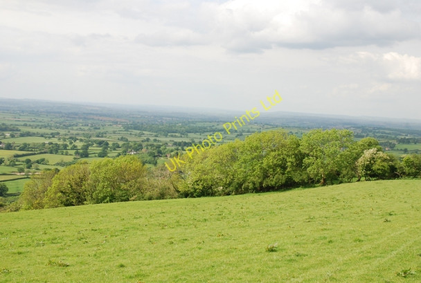 Photo 6"x4" Edge of Ibberton Hill Ibberton c2007