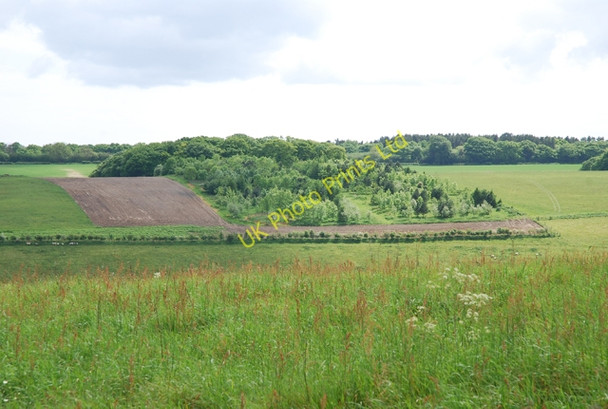 Photo 6"x4" Patchwork of South Down Turnworth c2007
