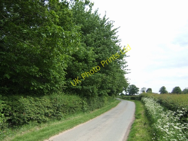 Photo 6"x4" The edge of High Onn Wood High Onn c2007