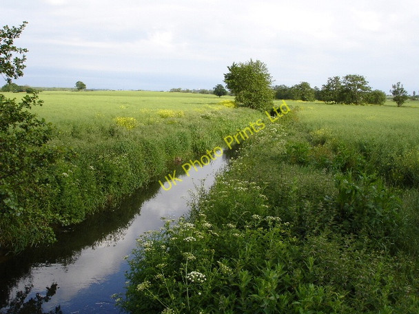 Photo 6"x4" The East Stour river Broad Oak\/TR0438 c2007