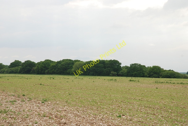 Photo 6"x4" Hanging Langford Camp Wylye c2007