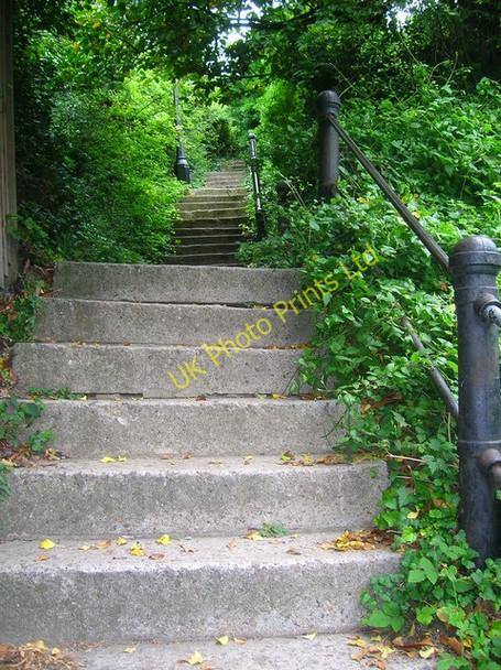 Photo 6"x4" Green Steps Rye c2007