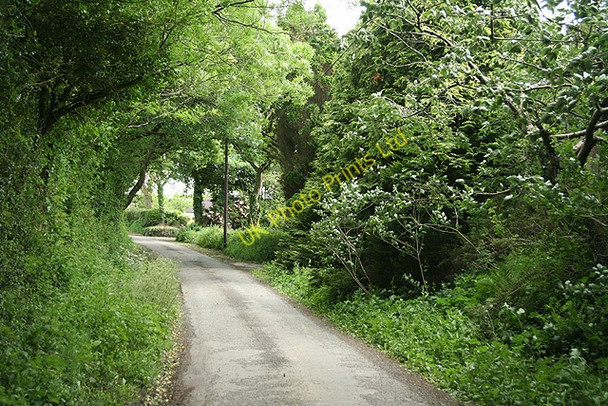 Photo 6"x4" St Giles on the Heath: by Poole Crest Tipple Cross c2007