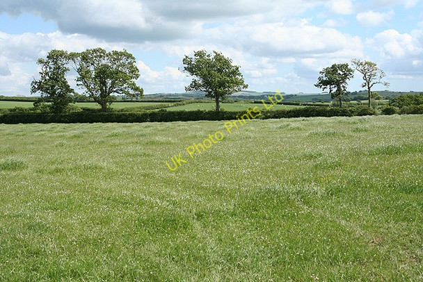 Photo 6"x4" St Giles on the Heath: near East Park Bridgetown\/SX3489 c2007