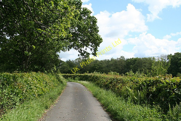Photo 6"x4" Broadwoodwidger: lane to Coombe Mill St Giles on the Heath c2007