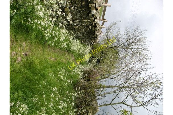 Photo 6"x4" Skelgate Lane, Reeth. Reeth\/SE0399 c2007