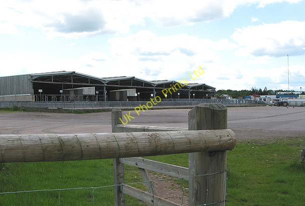 Photo 6"x4" Cattle market at Ross-on-Wye Ross-on-Wye c2007