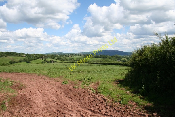 Photo 6"x4" Meadow near Penyworlod Rowlestone c2007