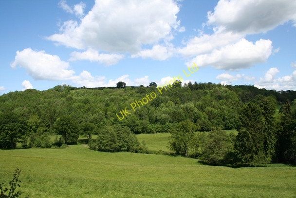 Photo 6"x4" Dulas Brook and Cockshoot Wood Abbey Dore c2007
