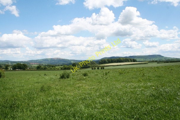 Photo 6"x4" Meadow near Perthi-bach Lane Rowlestone c2007