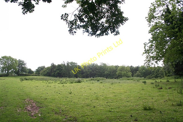 Photo 6"x4" Cwarelau Wood Lower Maes-coed c2007