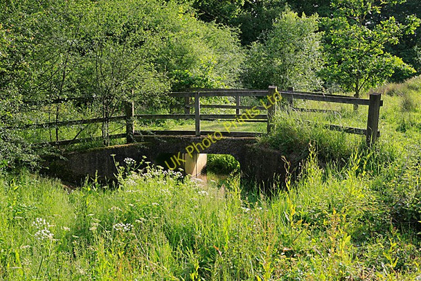 Photo 6"x4" Bridge in Botley Wood Lee Ground c2007